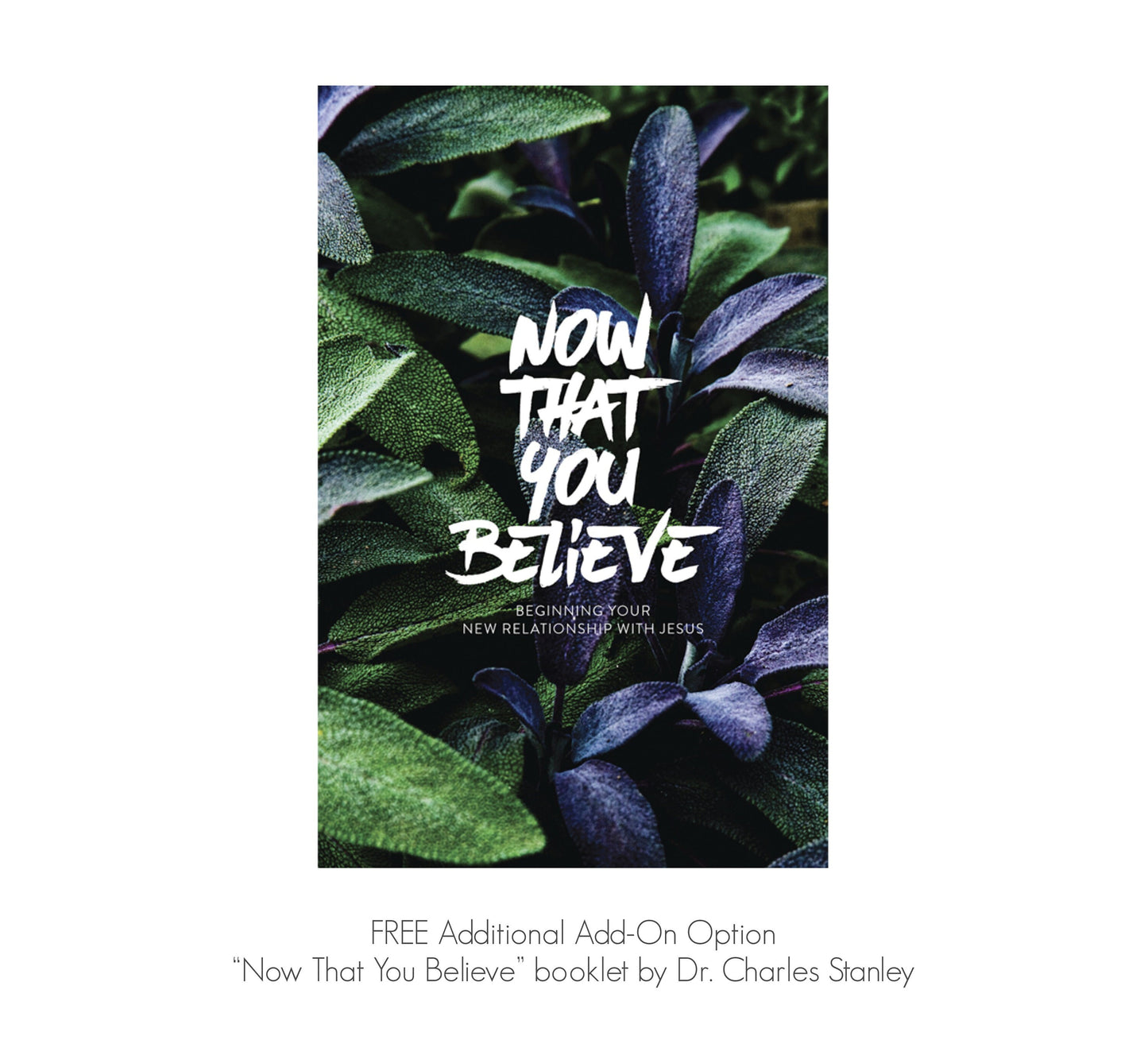 Modern Christian Gift Package: Confirmation New Believer