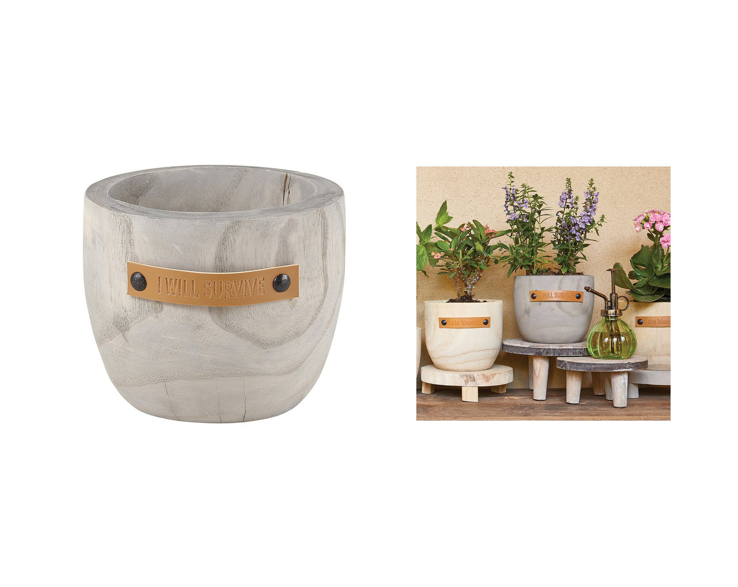 Blooming Faith Collection: Christian Women's Gift Set for Growth and Inspiration